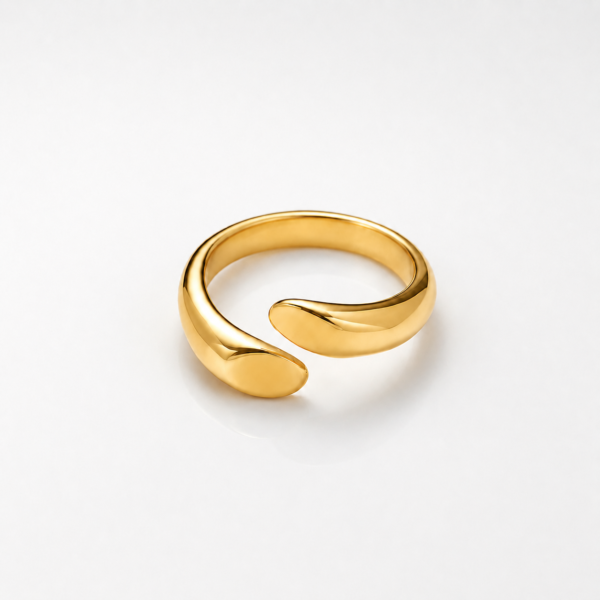 Anillo Nori